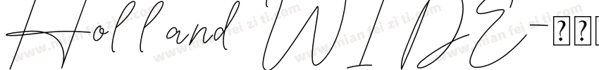 Holland WIDE字体转换